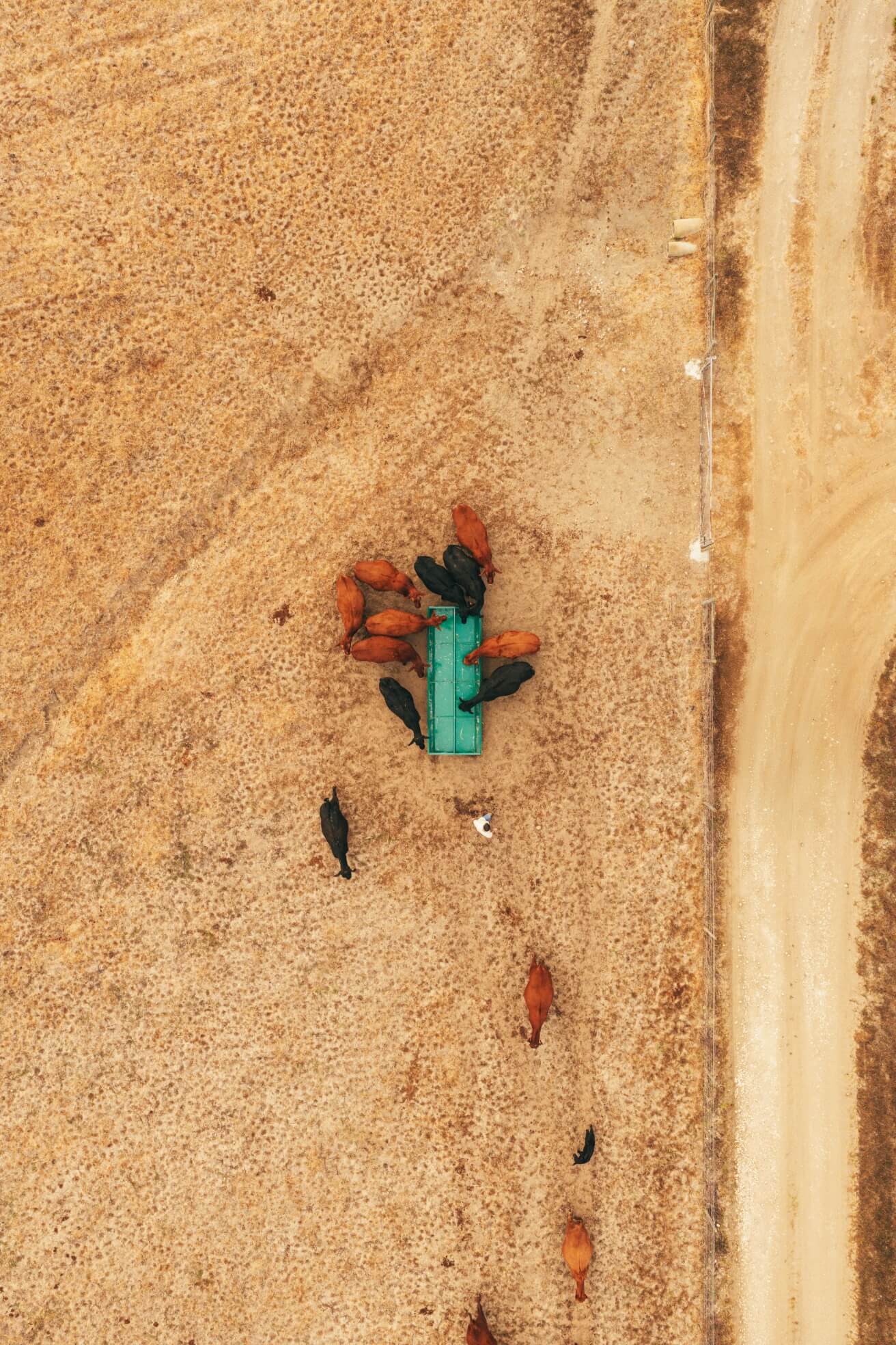 Textura de terra seca