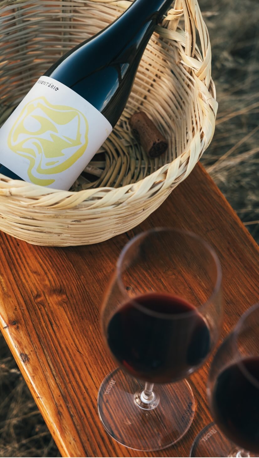 Garrafa de vinho e copos